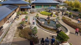 Menelisik Pesona Museum Bonsai Omiya di Jepang