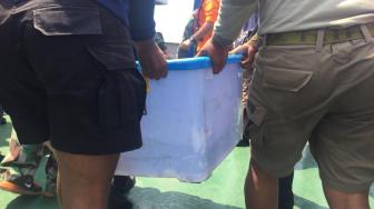 Ternyata SAR Hanya Temukan Bagian dari Black Box Lion Air JT 610