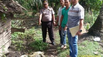 Heboh 12 Kambing di Aceh Hilang Misterius, Isi Perut Berserakan