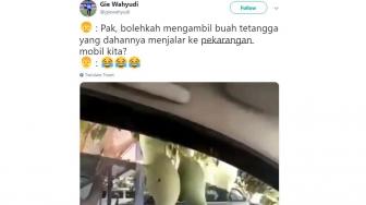 Ini Cara Petik Buah Mangga Tanpa Disentuh, Pakai Mobil