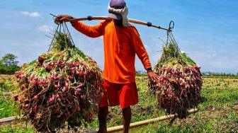 Kementan Dorong Anak Muda Kenali Segala Hal tentang Pertanian