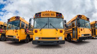 Mengapa Bus Sekolah Berwarna Kuning ? Ini Asal - Usulnya ...