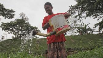 Sejumlah warga bercocok tanam di Kanal Banjir Timur daerah Pondok Kopi, Jakarta Timur, Selasa (4/12). (Suara.com/Fakhri Hermansyah)