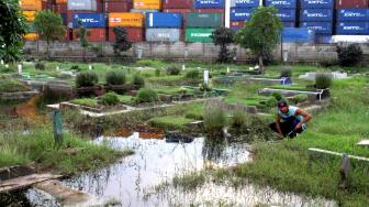 Warga beraktifitas di pemakaman yang terendam banjir di daerah Semper, Jakarta Utara, Sabtu (8/12). (Suara.com/Fakhri Hermansyah)