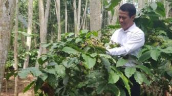 Kementan: Kurikulum Kopi dan Kakao Tingkatkan Kompetensi