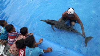 Seekor lumba-lumba moncong panjang (Delphinus capensis), mendapatkan perawatan dari nelayan, usai ditemukan terdampar di Pantai Bopong, Desa Surorejan, Puring, Kebumen, Jawa Tengah, Selasa (11/12). [ANTARA FOTO/Idhad Zakaria]