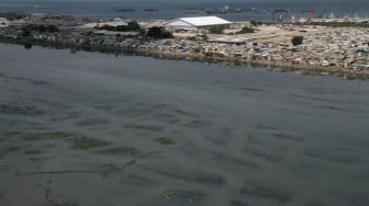 Suasana Waduk Pluit yang dipenuhi pemukiman padat penduduk di Jakarta Utara, Kamis (13/12). [Suara.com/Fakhri Hermansyah]