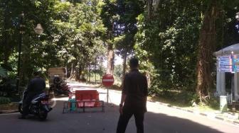 Pekan Depan Pedestrian Kebun Raya Bogor Dibuka!