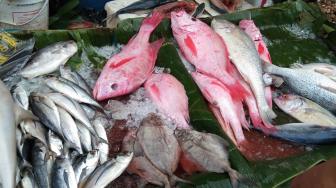 Pasar Ikan Muara Angke Mulai Dipadati Pembeli Jelang Malam Tahun Baru