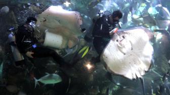 Sejumlah anggota Komunitas Advokasi Difabel Indonesia (KADI) bersama keluarga saat mengikuti wisata di wahana SeaWorld Ancol, Jakarta Utara, Selasa (1/1). [Suara.com/Fakhri Hermansyah]
