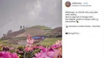 Pesona Arboretum Sumber Brantas di Jawa Timur, Instagramable Banget!