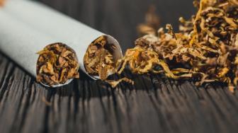 Pengurangan Bahaya Tembakau, Alternatif Bagi Perokok Dewasa Beralih dari Kebiasaannya