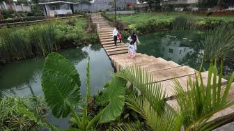 Taman Piknik Tempat Kumuh yang Disulap Menjadi Indah