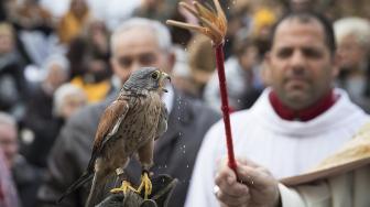 Pastor memberkati seekor burung pada peringatan Hari Santo Antonius di Muro, pulau Balearic, Spanyol, Kamis (17/1). [AFP/Jaime Reina]