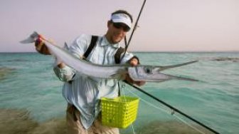 Awas! Ikan 'Suneo' ini Bisa Bunuh Manusia Hanya Sekali Tusuk! 