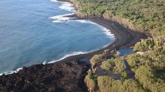 Pohoiki Hawaii Beach, Destinasi Baru Pantai Berpasir Hitam