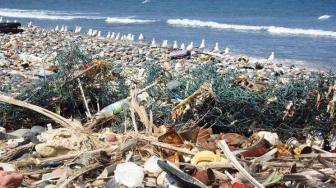 Pantai Kuta dan Seminyak Bali Ditutup Sementara, Kenapa?