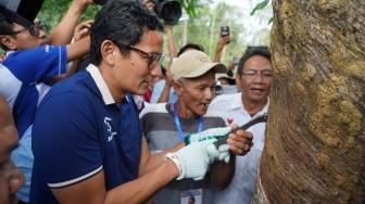 Temui Petani Karet di Jambi, Sandiaga Teken Kontrak Politik