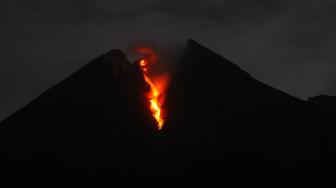 11 Kali Guguran Lava Merapi dalam 30 Jam, Jarak Terjauh 1,8 Kilometer