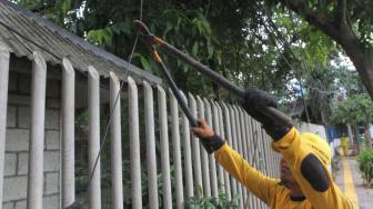 Petugas Bina Marga Jakarta Selatan melakukan penertiban jaringan kabel utilitas yang semrawut di kawasan Warung Jati Barat, Jakarta Selatan, Rabu (30/1).[Suara.com/Fakhri Hermansyah]
