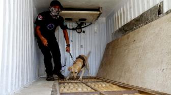 Petugas Badan Narkotika Nasional (BNN) dengan anjing pelacak menunjukkan tempat penyimpanan ganja saat rilis pengungkapan ganja 1,4 ton dan sabu 100 kg di kantor BNN Cawang, Jakarta, Jumat (1/2). [Suara.com/Fakhri Hermansyah]