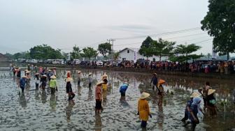 Sosialisasi AUTP Melalui SIAP Sudah Sampai Lampung Barat