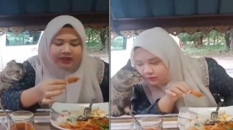 Sebelum Dikasih Makan, Kucing Ini Harus Cium Majikannya Dulu.