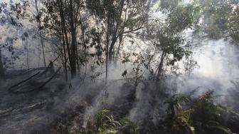 Semak belukar dan pepohonan akasia hangus terbakar di kawasan hutan konservasi, Medang Kampai, Dumai, Riau, Minggu (3/2). ANTARA FOTO/Aswaddy Hamid