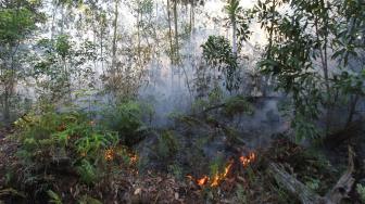 Api membakar semak belukar dan pepohonan akasia di kawasan hutan konservasi, Medang Kampai, Dumai, Riau, Minggu (3/2). ANTARA FOTO/Aswaddy Hamid