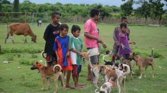 Kendalikan Rabies di NTB, Kementerian Pertanian Gandeng FAO