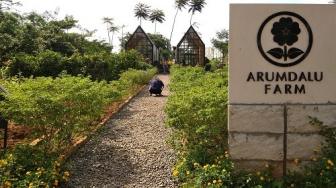 Serunya Cicipi Burger Tempeh Sambil Berkebun di Arumdalu Farm