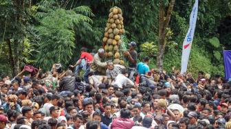 Ratusan Warga Berebut Durian