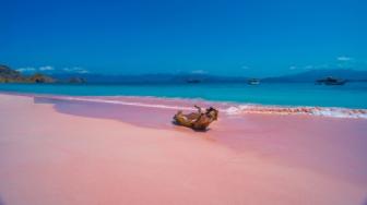 Memburu Fenomena Pink Beach di Lombok Timur di Musim Ini