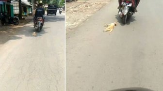 Tak Punya Hati! Video Orang Seret Kucing dengan Motor Bikin Naik Pitam