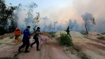 Kebakaran Hutan dan Lahan di Riau Tembus 1.136 Hektare