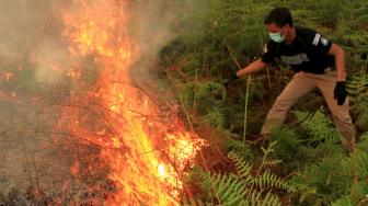 Api membakar lahan gambut di Desa Cot Seumeureng, Kecamatan Samatiga, Aceh Barat, Aceh, Jumat (15/2). .  [ANTARA FOTO/Syifa Yulinnas]
