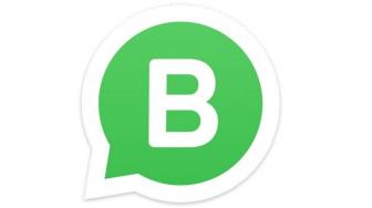 WhatsApp Business Sambangi Pengguna iPhone