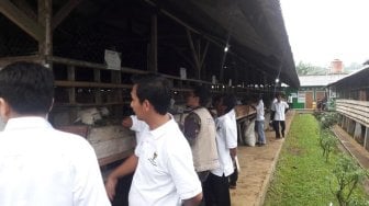 Bank Muamalat dan Baznas Bangun Balai Ternak di Bogor