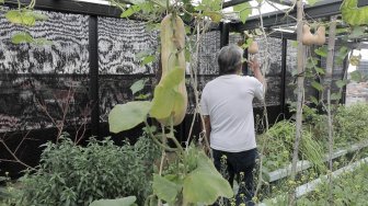 Mengembangkan Tren Urban Farming di Jakarta