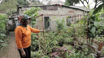 Melihat Lorong Tanaman Obat Keluarga di Kebayoran Lama