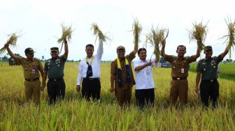 Pupuk Kaltim Wujudkan Ketahanan Pangan Nasional melalui Berbagai Strategi Inovasi