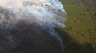 Musim Kemarau, Pemprov Riau Diminta Waspada Kebakaran Hutan