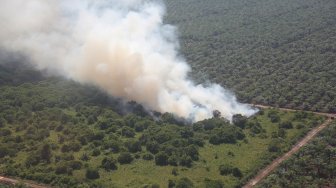 Kebakaran Hutan, Fenomena Menyedihkan yang Terus Terulang