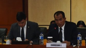 DPR Terima Parlemen Jerman, Jajaki Kerja Sama dengan ASEAN