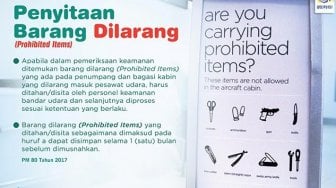 Ini Barang yang Dilarang dalam  Penerbangan...