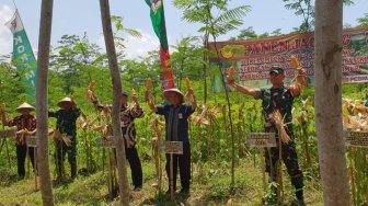 Kementan Kembali Panen Jagung, Kali Ini di Lumajang