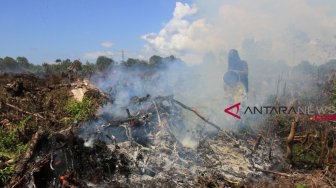 Kebakaran Hutan di Tawangrejo, Kakek 75 Tahun Tewas Terbakar