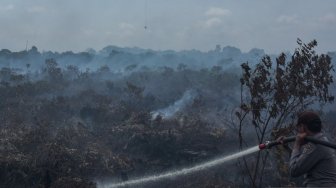 Kalbar Nyatakan Udara Sangat Tak Sehat karena Kabut Asap, Sekolah Libur!