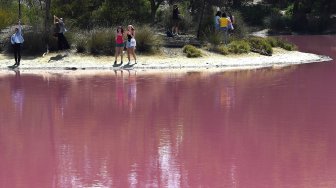 Danau di Australia Berubah Warna Menjadi Pink