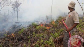 Karhutla Terjadi di Mempawah, 300 Hektare Lahan Terbakar, 4 Wilayah Terdampak dan Terkepung Asap